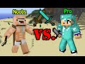 Noobs VS. Pro - Minecraft