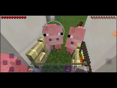 MAINQRAFT მათელაცაბიძე ბოდიშით რო ვერ დაგემშვიდობედ თავისით გადაიღო ვიდეომ