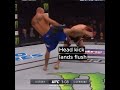 Donald Cerrone vs Rick Story at #ufc202
