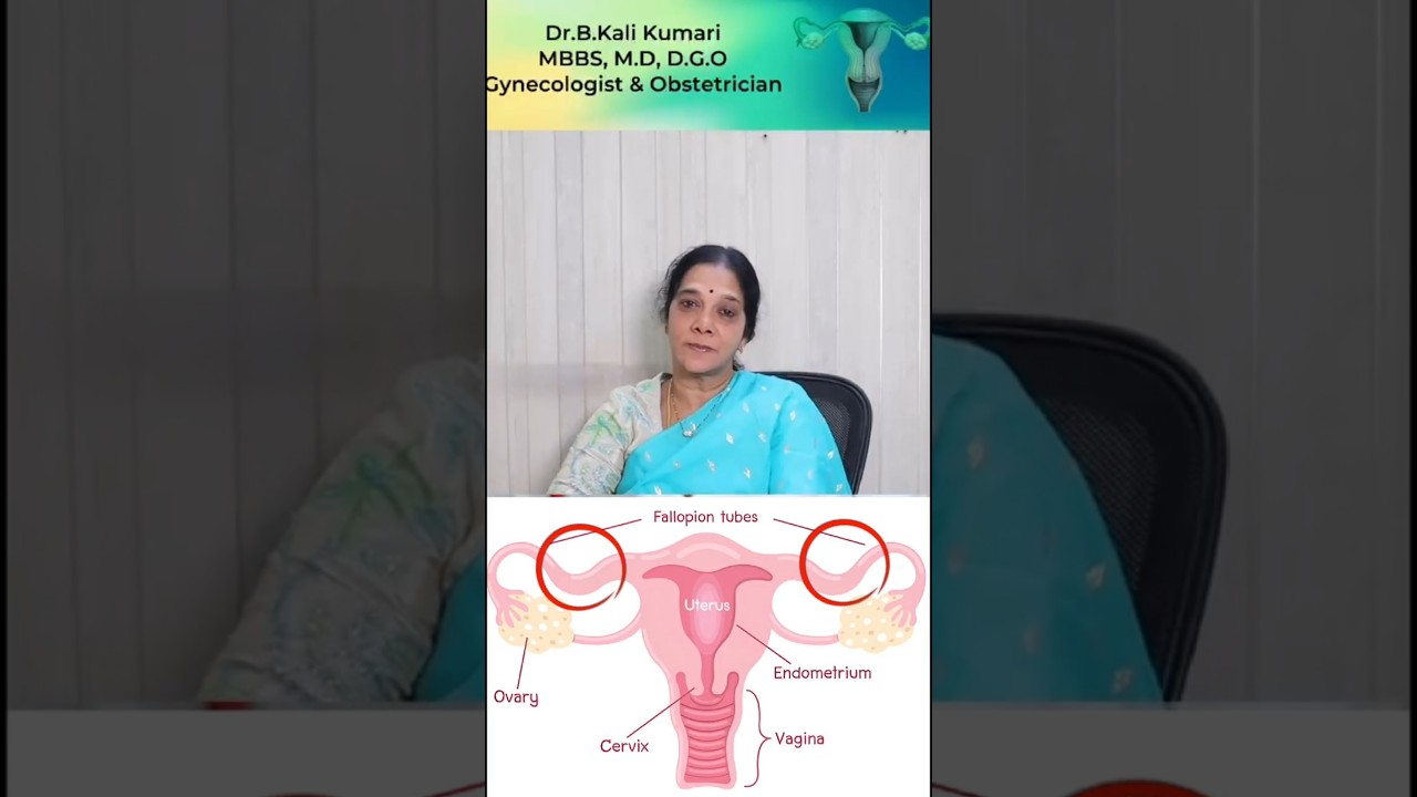 💔 Are Blocked Fallopian Tubes Stopping Your Pregnancy? | Dr. B. Kali Kumari Explains in Telugu