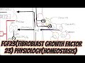 FGF23(Fibroblast Growth Factor 23)Physiology(Homeostasis)@umerfarooqbiology7083