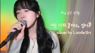 너는 나의 봄이다(시크릿가든OST), 성시경 cover by Looda/루다