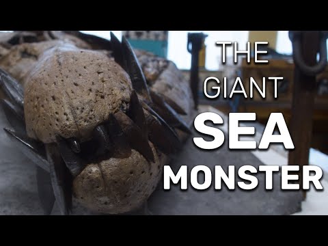 150-Million-Year-Old Giant Sea Monster Found In Dorset Cliff