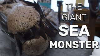 150MillionYearOld Giant Sea Monster Found In Dorset Cliff