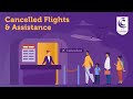 Cancelled flights 🛫 Your rights to assistance following a cancelled flight ✈ What you need to know 💺