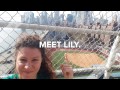 Help [Lily] get pastry-certified!
