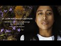 LA LLORONA DE LOS CAFETALES | Vídeo oficial de la película La Llorona