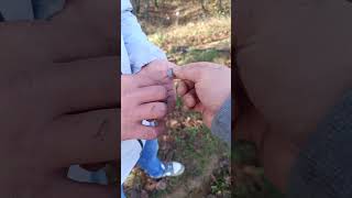 #simpleks#rdr deep pro #test #kapışma #arazi #metaldetecting #arazi