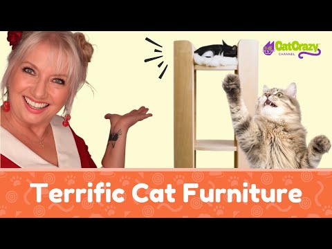 Cat Lovers Rejoice! The Awesome Tall Cat Tower from Mau