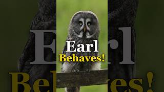 Earl finally behaving???