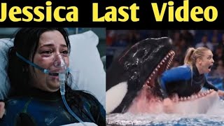 Download Lagu Whale machhali Ne Li Jaan 😭😭 MP3 Download Lagu Whale machhali Ne Li Jaan 😭😭 MP3