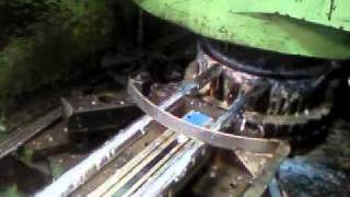 Circle Feeder 4