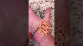 This video makes you feel trypophobia 🐝😩 #sfx #sfx_makeup #youtubeshorts #makeup #shorts screenshot 2