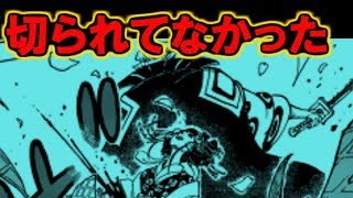 ワンピースの謎vlipa Lv