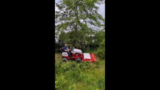 Do I Need A Brush Cutter?