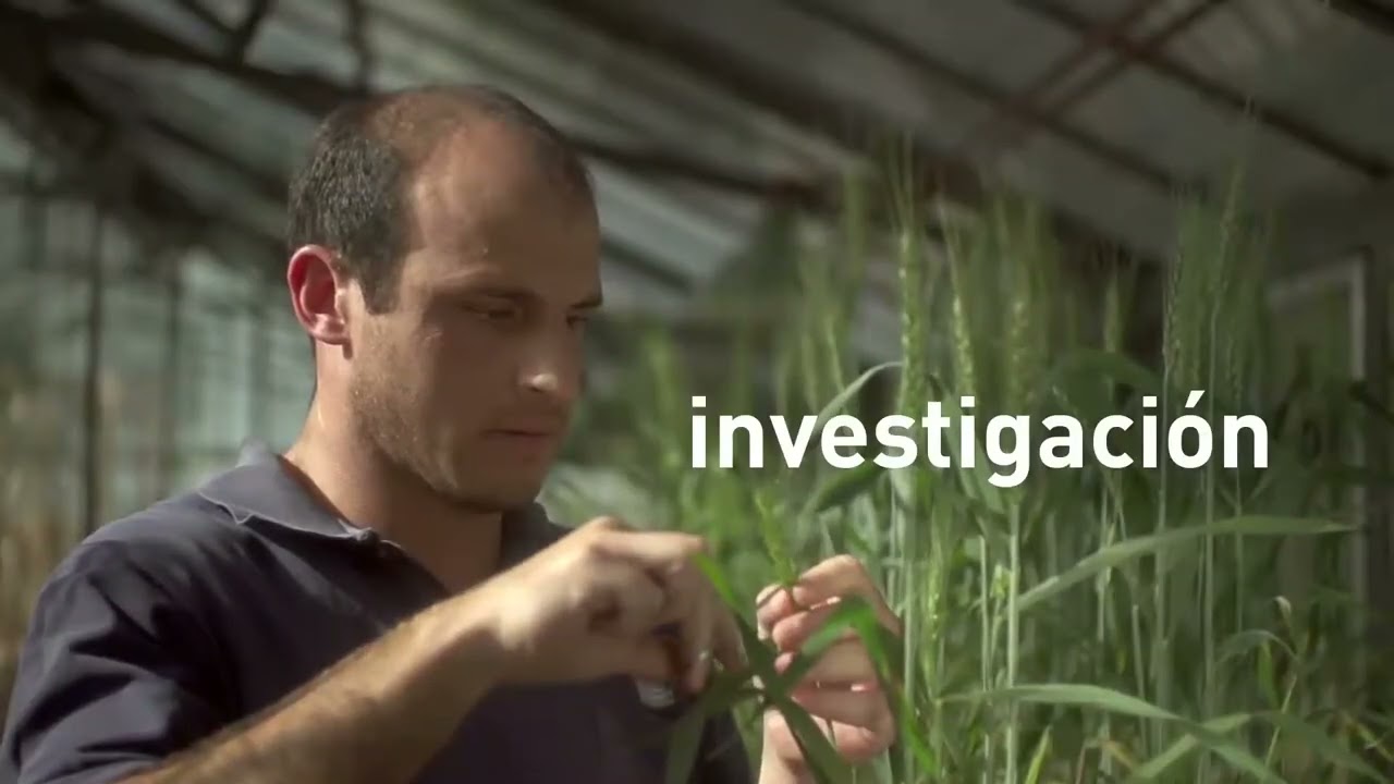 ¿Cuáles son las pautas para iniciar una vinculación con INTA?