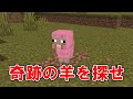 【検証】超激レアなピンクの子羊は何マスで見つかる？【マイクラ】