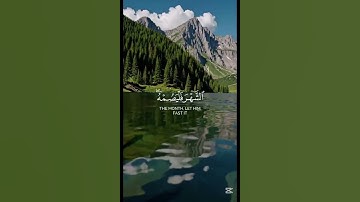 تلاوة مؤثرة #ياسر_الدوسري #اكسبلور #المصحف #دويتو #yasseraldossary #راحة_نفسية #الرحمن #duet #القرآن