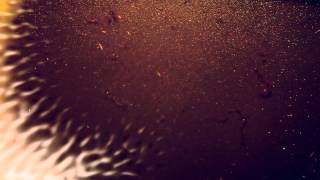 Turing Standing Waves