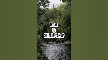 How Forest Bathing Heals You | Backed by Science & Nature 🌿#puyuretreat #mindfultravel