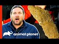 Local Investigators Have Found Bigfoot Footprints! | Finding Bigfoot