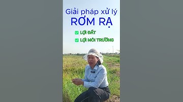 Đừng Đốt Rơm Rạ! Đây Là Cách Xử Lý An Toàn Và Hiệu Quả I Nông Nghiệp An Dương