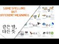 Same Spelling, Different Meanings (같은 말, 다른 뜻)