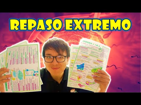 [ FISICA FREE ] - EJERCICIOS DE VECTORES Y ESTATICA 👉😍🌿