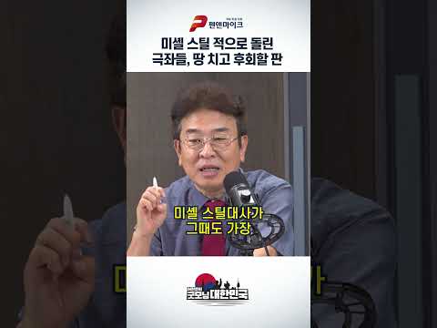 <strong>미셸</strong> 스틸 적으로 돌린 극좌들, 땅 치고 후회할 판