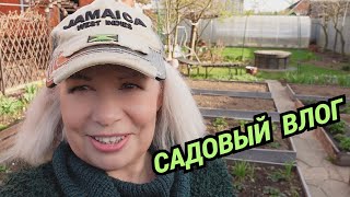 Садовый влог/Перекрасила патио, грядки/Смешные котики@SubTatiana