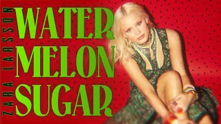 Watermelon Sugar (Harry Styles Cover by Zara Larsson) (Audio with Lyrics)