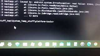 Samsung phone has a kernel panic when opening /Dev (interesting video)