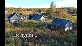 видео: ТАКОЕ РЕДКО МОЖНО УВИДЕТЬ! БОЛЕЕ 100 БРОШЕННЫХ ДОМОВ В ЛЕСУ. НЕДАВНО ЗАБРОШЕННОЕ СЕЛО МОРДОВИИ. картинка: ТАКОЕ РЕДКО МОЖНО УВИДЕТЬ! БОЛЕЕ 100 БРОШЕННЫХ ДОМОВ В ЛЕСУ. НЕДАВНО ЗАБРОШЕННОЕ СЕЛО МОРДОВИИ.