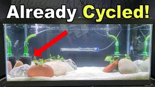 Instant Tank Cycling: Move Fish Today Without Risk!