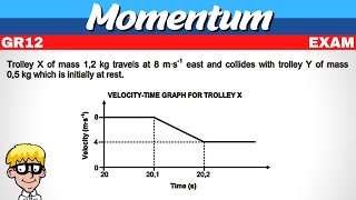 Exam Question Momentum Gr 12