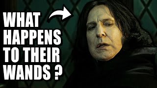 What Happens to the Wands of DEAD Wizards? - Harry Potter Explained What Happens When Wizards Die The Wizarding Afterlife Harry Potter Explained