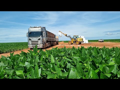 I think that was the last truckload of fertilizer of the year! Querência MT!!!!