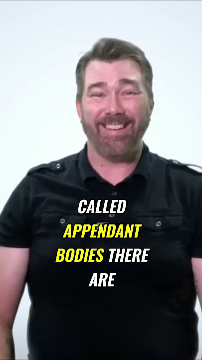 Freemason reveals: What is a 33rd Degree Mason? (Part 1) #scottishrite #freemasonry #33degrees