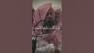 اكتب شيء تؤجر عليه 🤍 | القارئ محمد اللحيدان | والله يريد ان يتوب عليكم-سورة النساء #قرآن #quran