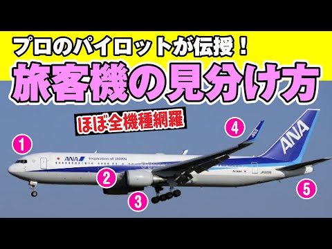 エアラインパイロットから見た飛行機の見分け方を伝授！プロならではの意外な視点とは！？