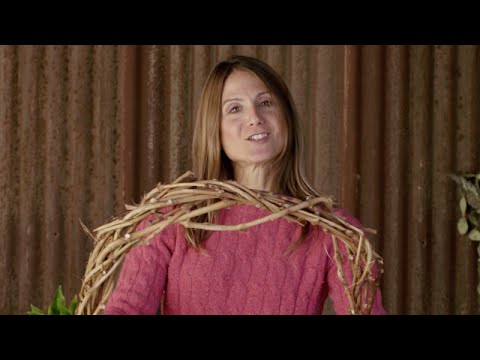 How to Make a Grapevine Wreath with Emily Murphy