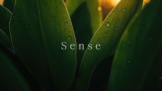 Infinity in Calm | Green Reverie | 60m of Meditative Ambient Harmony