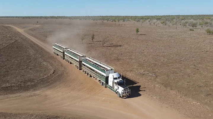 Big Rigs, Big Cattle Numbers by Kelli Elliott, Kun...
