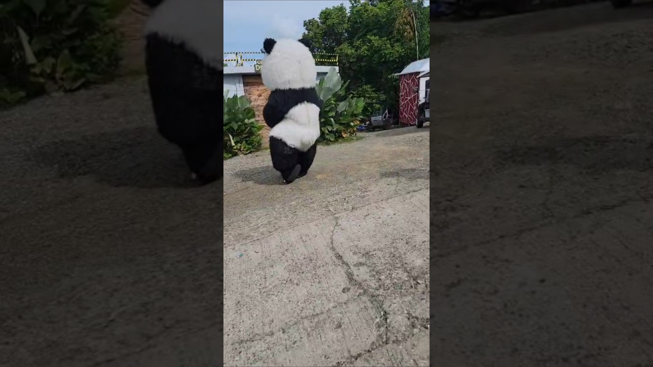 The Panda took him haha 😅🤣🥰❤️🐼