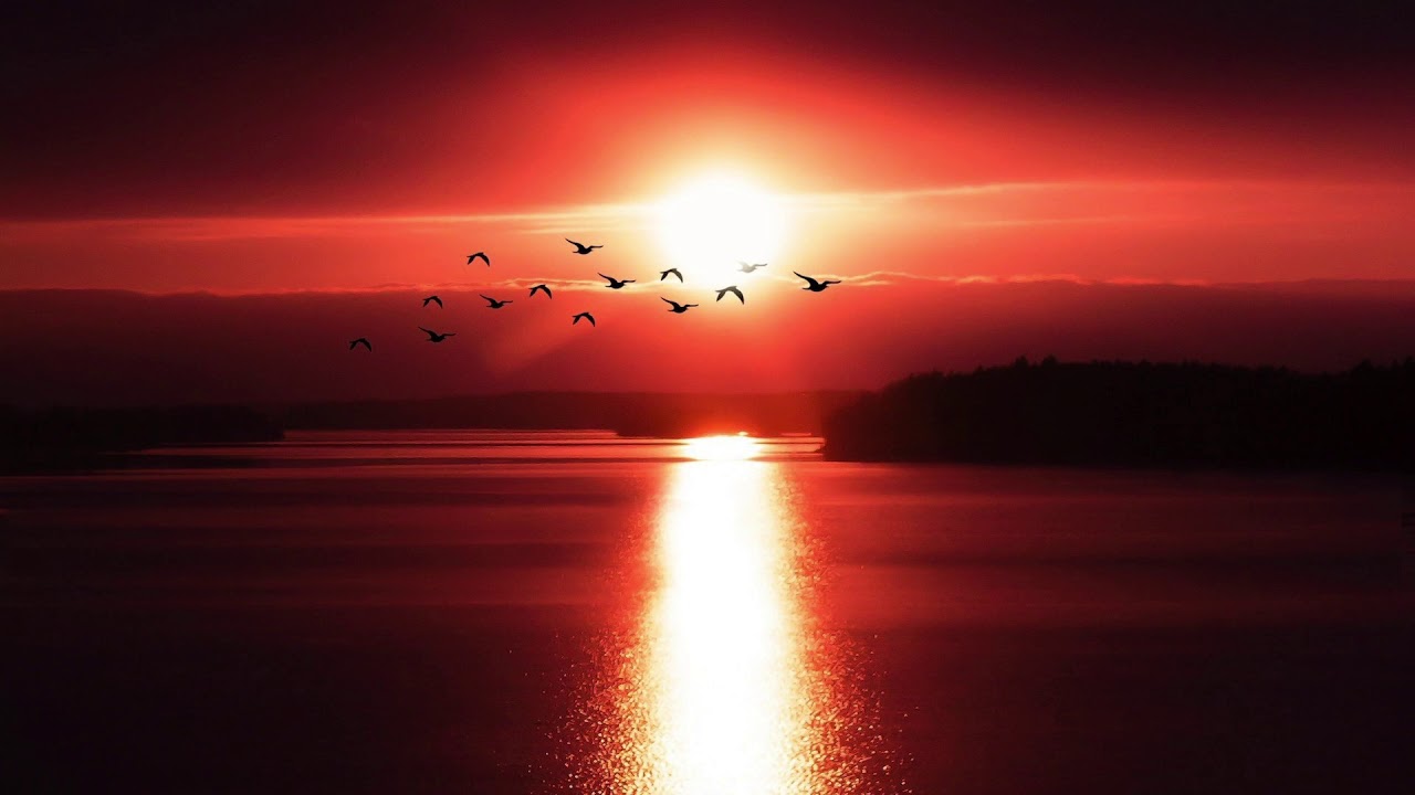 LO-FI HIP HOP/JAZZ/CHILL SESSION by Bamf