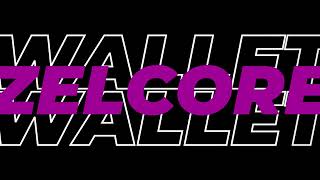 Install the Zelcore Wallet