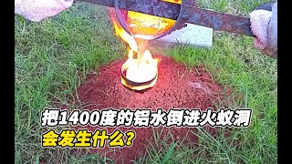 老外发现一个火蚁洞，把1400度的铝水倒进去，会发生什么？