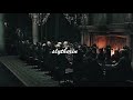 You are pride ambitious and cunning or slytherin playlist