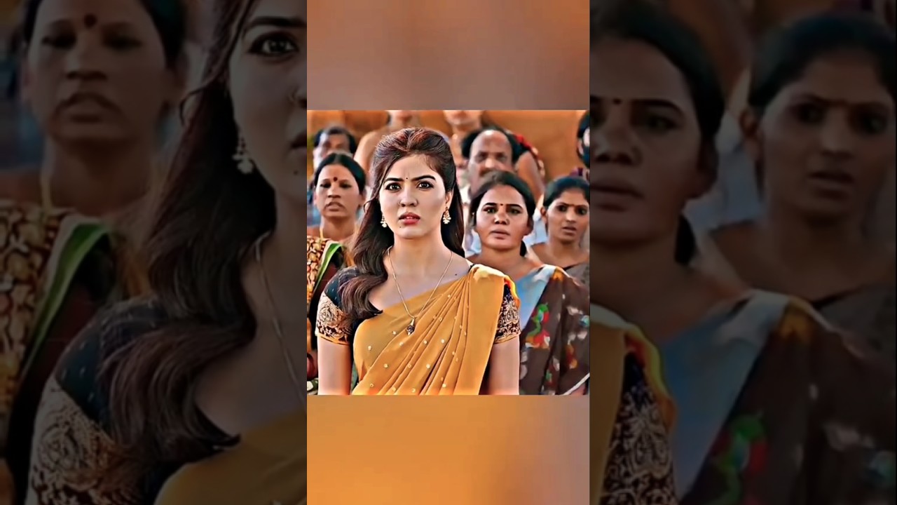 New South Movie Scene || Best movie Clips