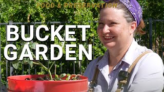 Urban Gardening Tips: Creating a Thriving Bucket Garden